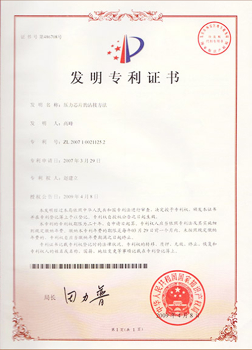 Patent Certificate5